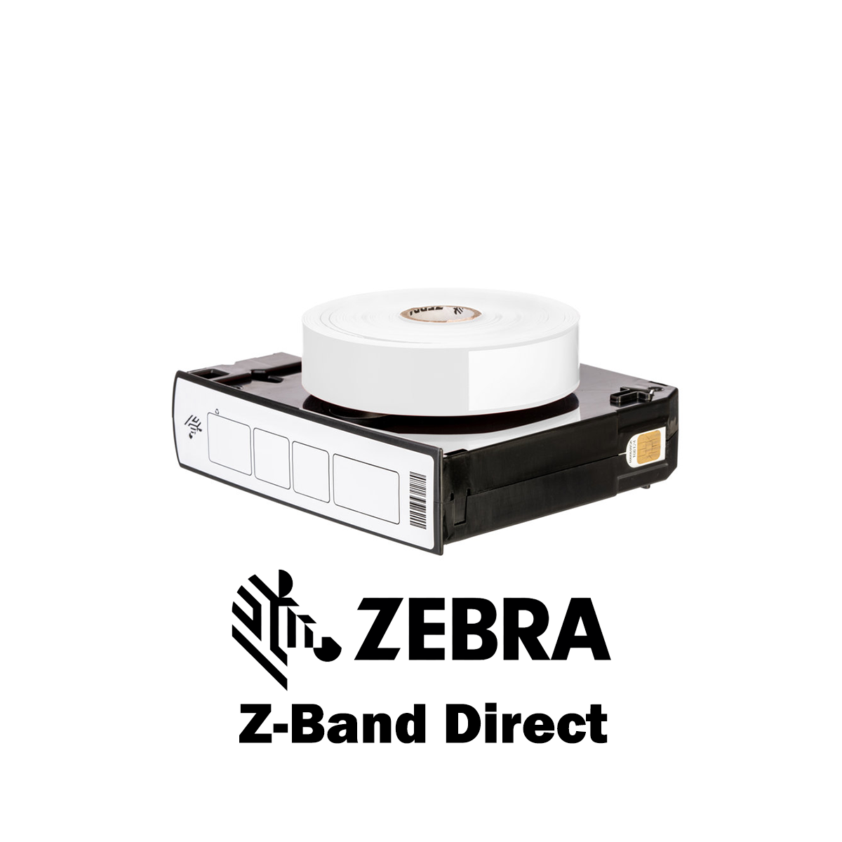 10006995K - Braccialetti Zebra  Z-Band Direct Polipropilene 