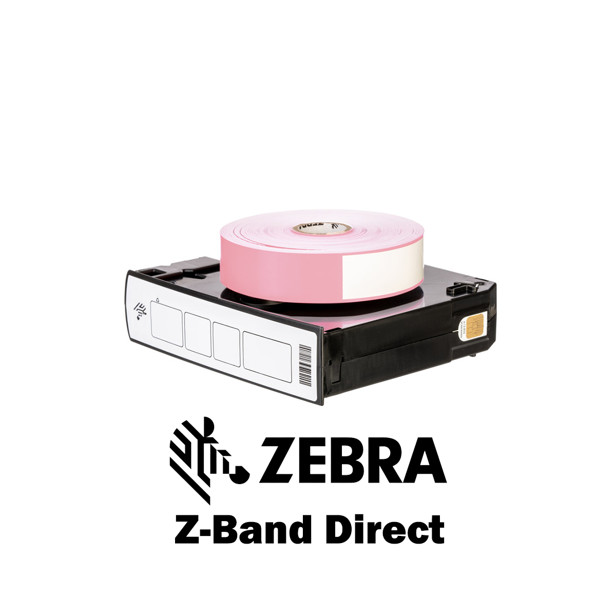 10006995-5K - Braccialetti Zebra Rosa Z-Band Direct Polipropilene 